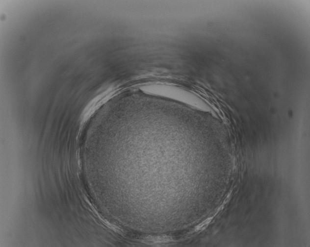 X0000066490245200603311646