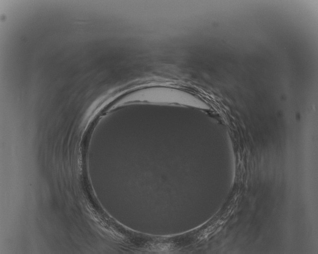 X0000066490247200603311646
