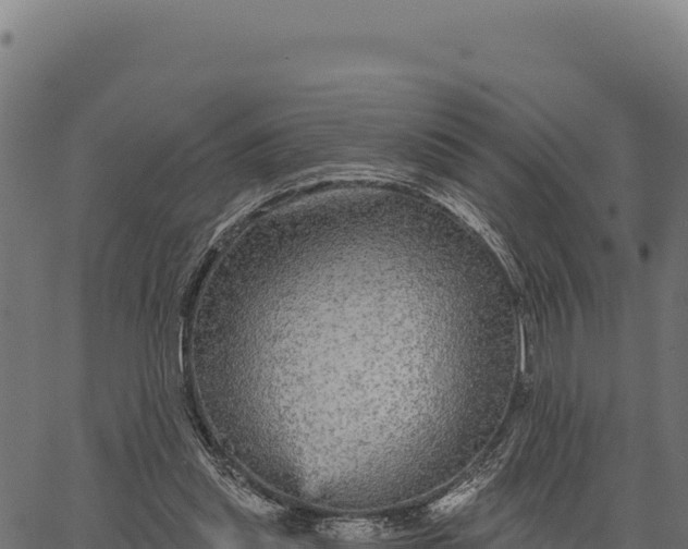 X0000066490253200603311647