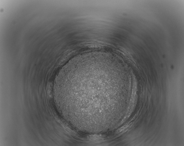 X0000066490273200603311647