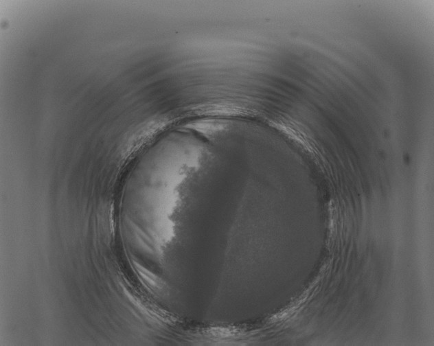 X0000066490302200603311646