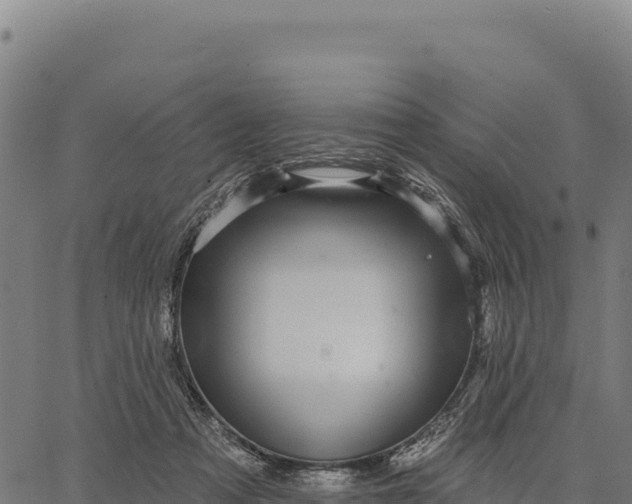 X0000066490313200603311646