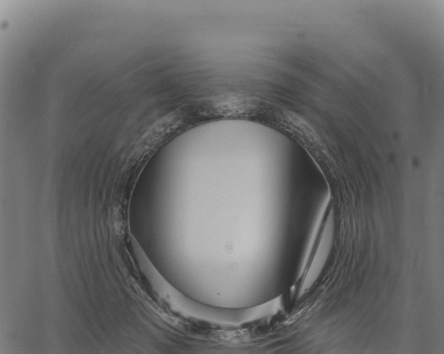 X0000066490317200603311646