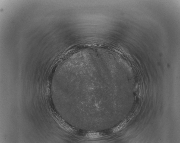 X0000066490413200603311644