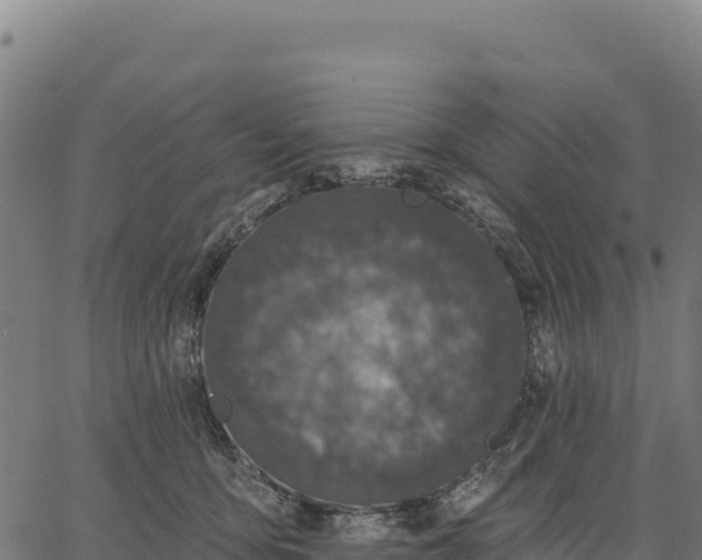 X0000066490419200603311644