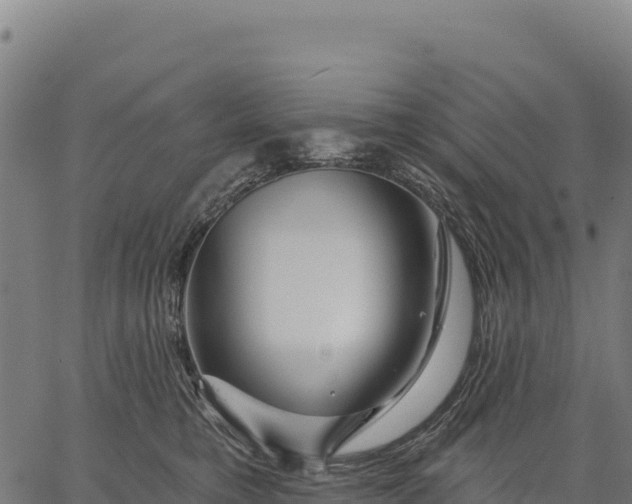 X0000066490421200603311644