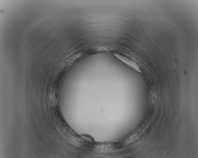 X0000066490422200603311644