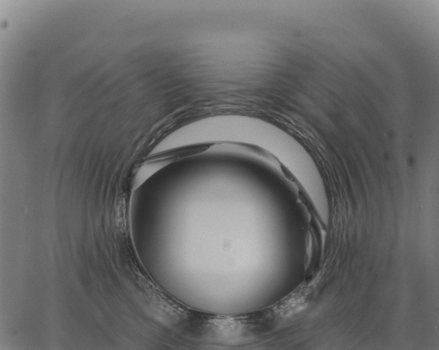 X0000066490425200603311644