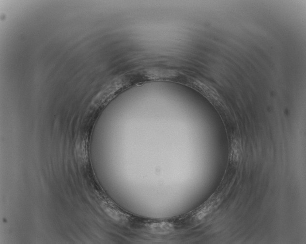 X0000066490426200603311644