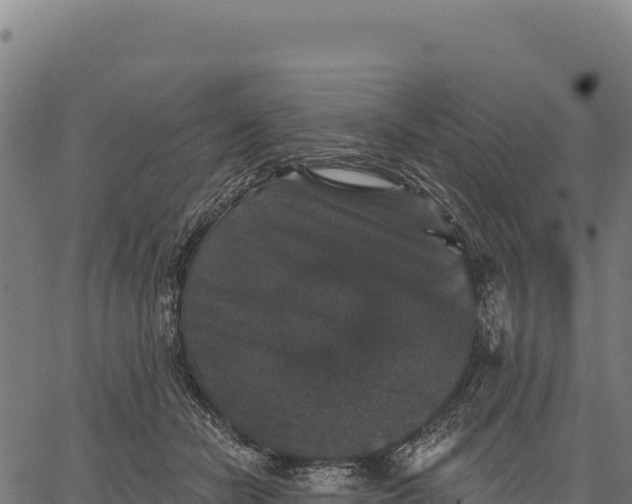 X0000066490462200603311644