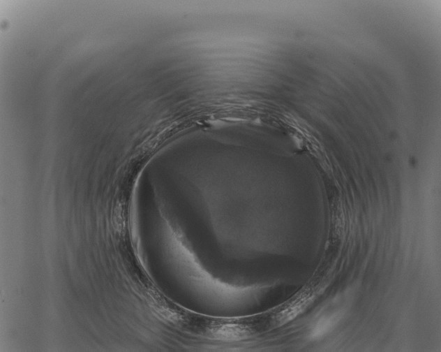 X0000066490467200603311644