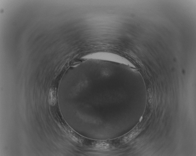 X0000066490471200603311644