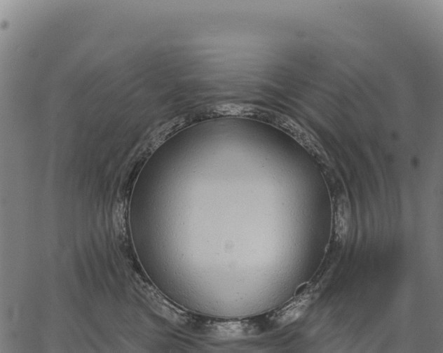 X0000066490473200603311644