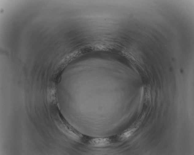 X0000066490526200603311642