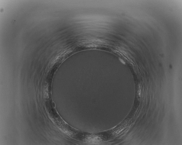 X0000066490547200603311642