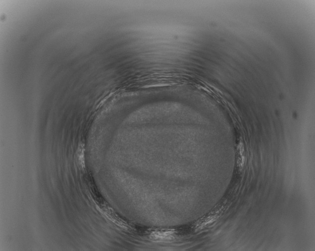X0000066490560200603311642