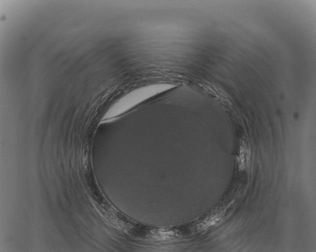 X0000066490607200603311641