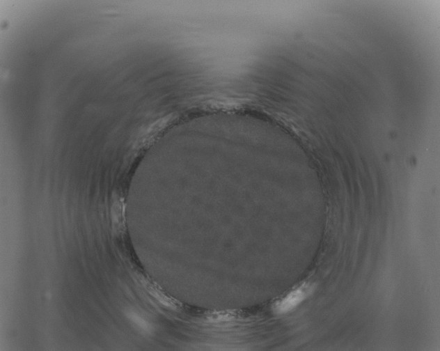 X0000066490624200603311641