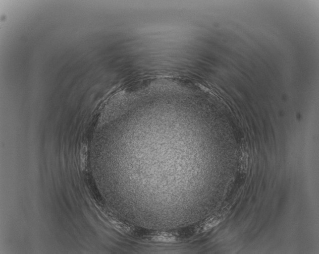X0000066490656200603311641