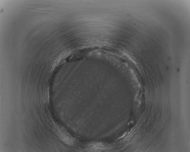 X0000066490685200603311640