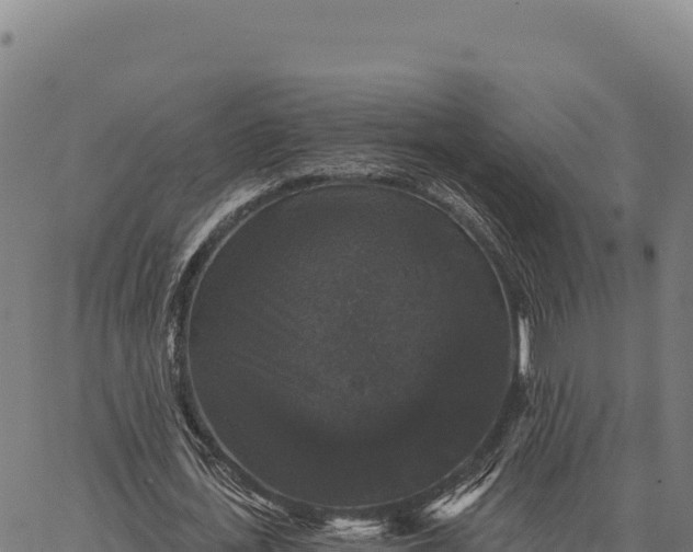 X0000066490723200603311639