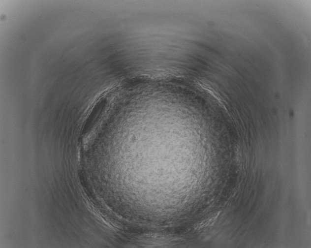 X0000066490733200603311639