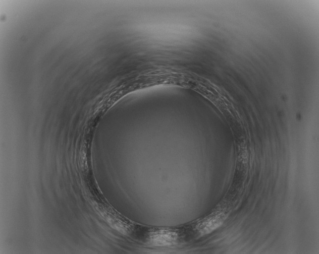 X0000066490754200603311639