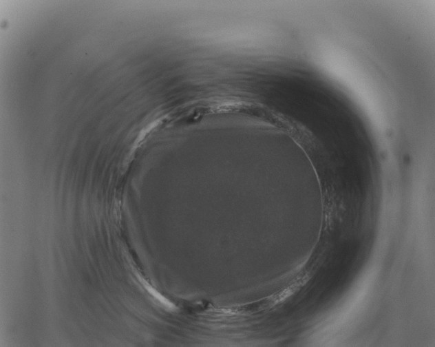 X0000066490766200603311639