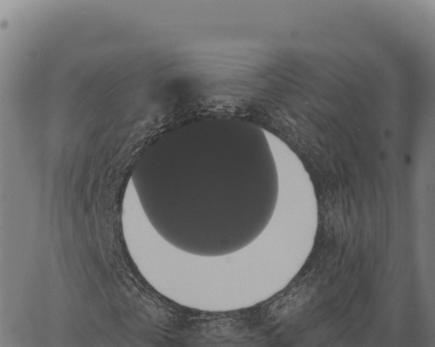 X0000066490769200603311638
