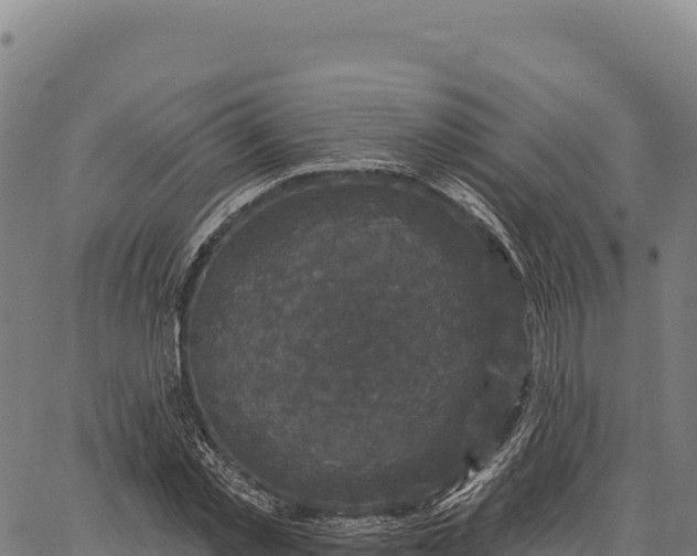 X0000066490781200603311638
