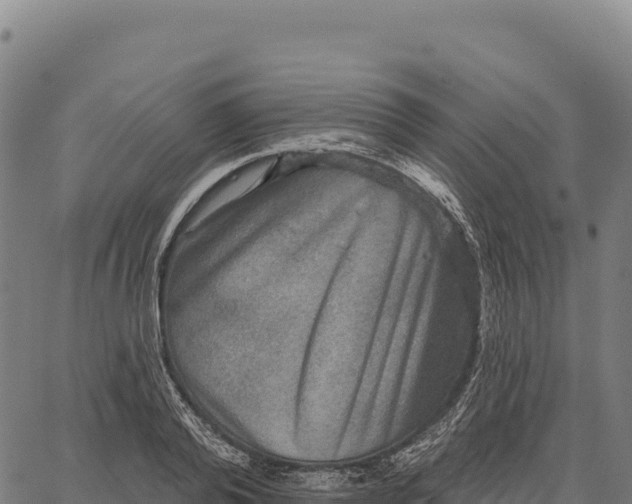 X0000066490792200603311638