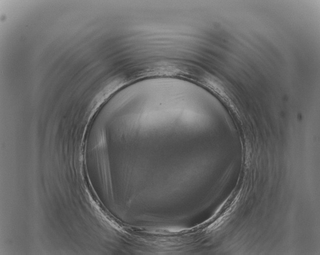X0000066490802200603311638