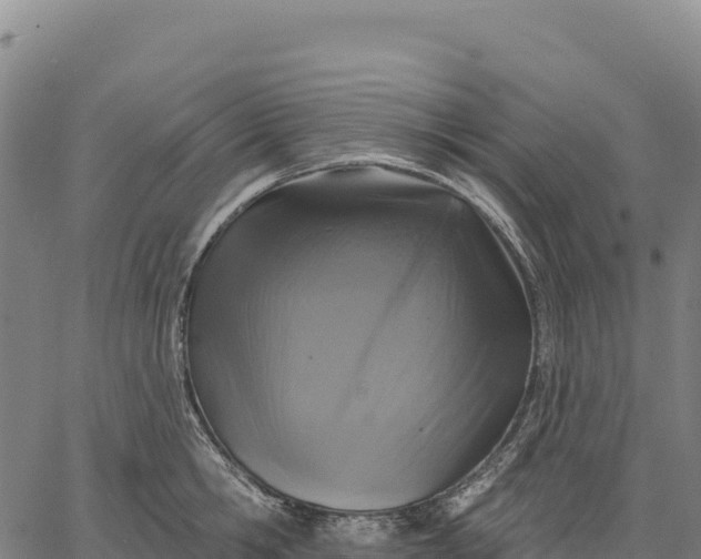 X0000066490806200603311638