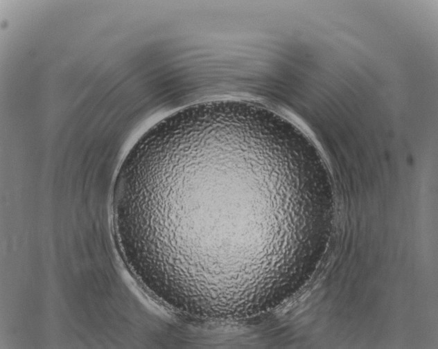 X0000066490811200603311638