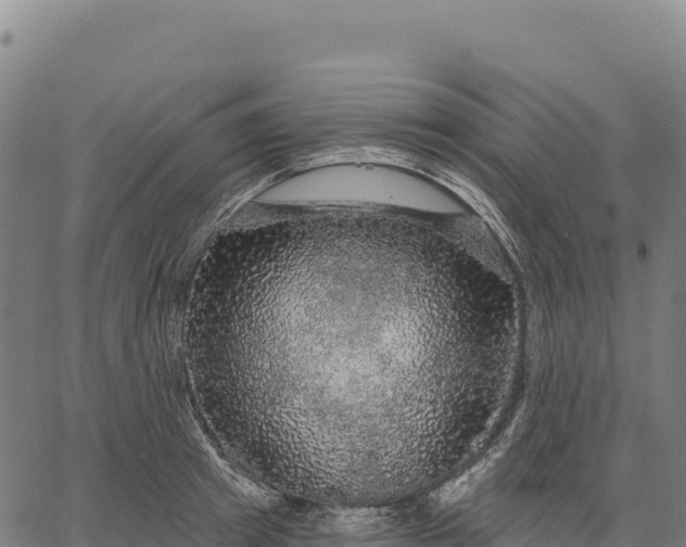 X0000066490849200603311637