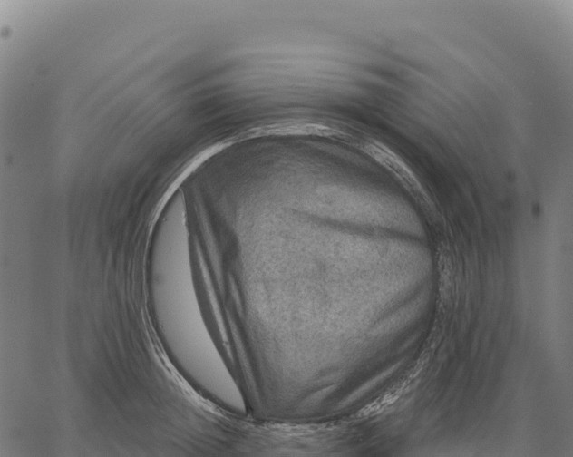 X0000066490852200603311638