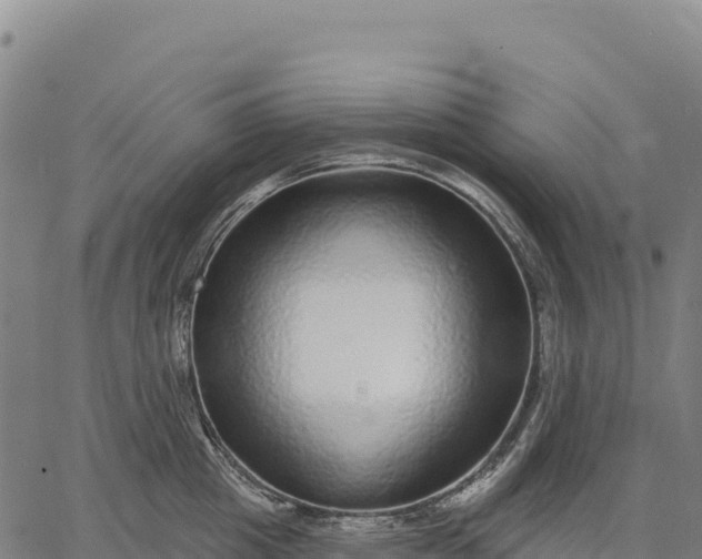 X0000066490857200603311638