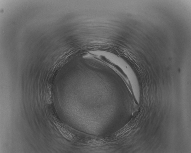 X0000066490868200603311637