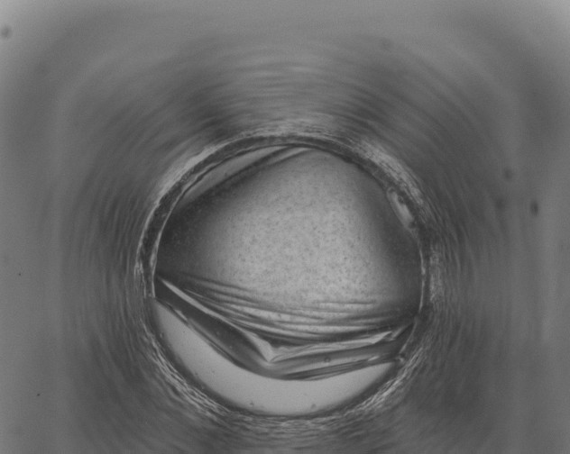 X0000066490876200603311637