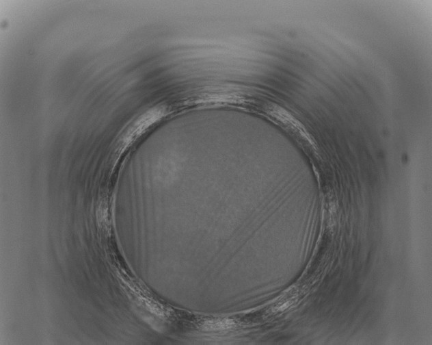 X0000066490882200603311637