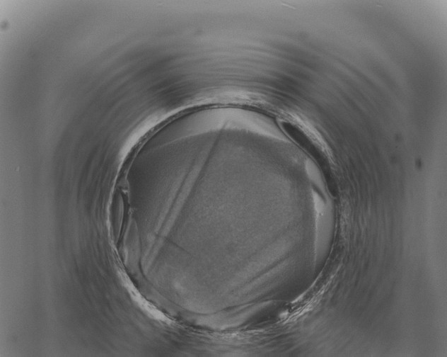 X0000066490944200603311636