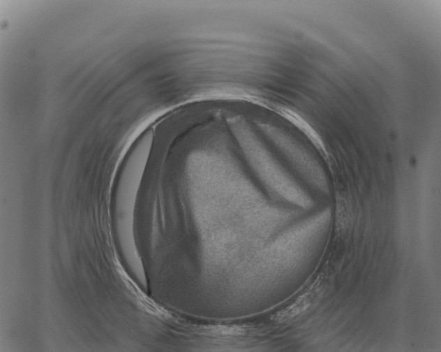 X0000066490996200603311635