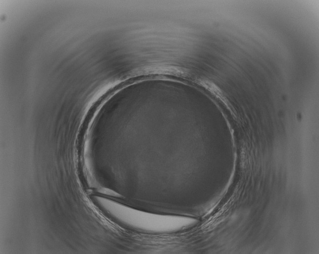 X0000066491024200603311634