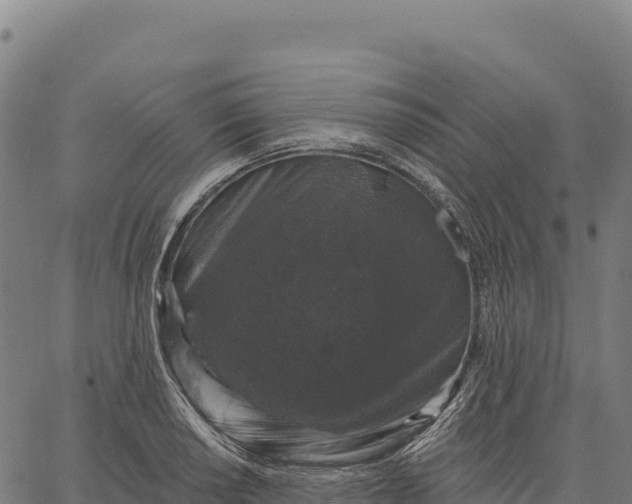 X0000066491034200603311634