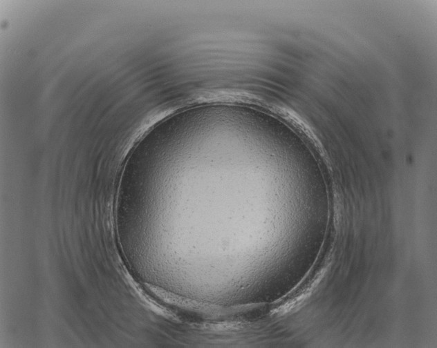 X0000066491041200603311634