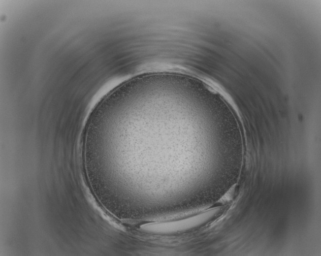 X0000066491053200603311635
