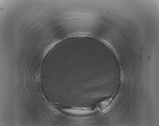 X0000066491081200603311633