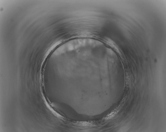 X0000066491095200603311633