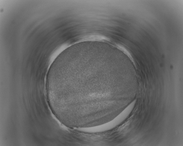 X0000066491103200603311633