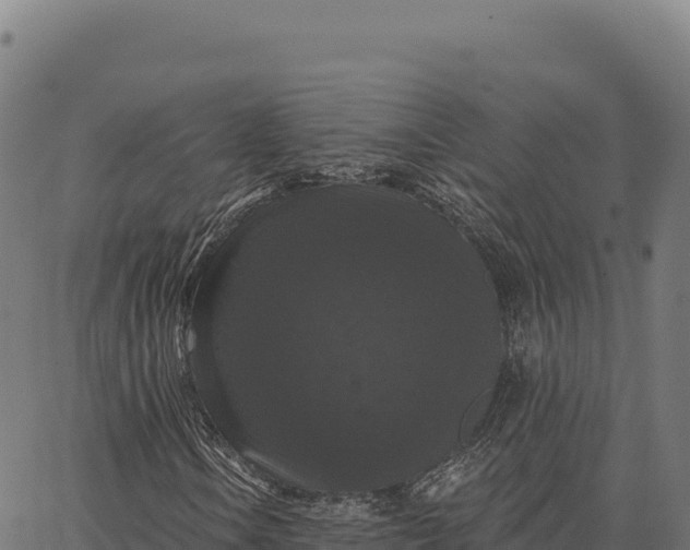 X0000066491106200603311632